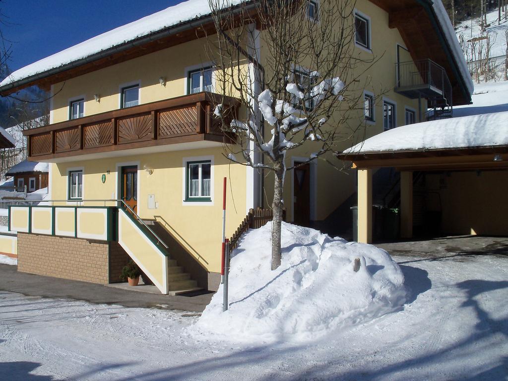 Апартаменты Haus Mary Русбах-ам-Пас-Гшютт Экстерьер фото