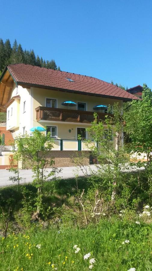 Апартаменты Haus Mary Русбах-ам-Пас-Гшютт Экстерьер фото